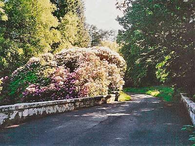 Forget Me Not - Skkz Villa Dalmellington Exterior photo
